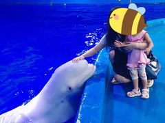 -多彩贵州城极地海洋世界