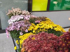-婕妮璐超市 Jenny Lou’s Shop(三里屯店)