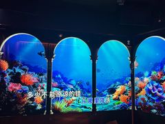 -纯K(打浦桥店)
