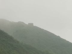 -天源渔港农庄