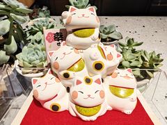 -百新书局(尚悦湾店)