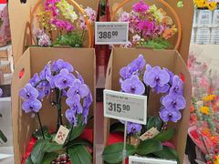 -盒马X会员店(上海森兰商都店)