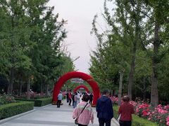 -迎泽公园