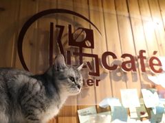 -隅cafe(傅厚岗店)