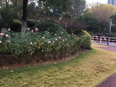 -杭州城北体育公园