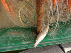 -海上驿站渔家菜馆