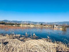 -西昌邛海湿地