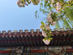 -元大都城垣遗址公园