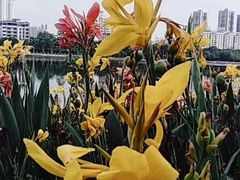 -南宁南湖公园
