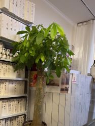 -瘦立方身材管理中心