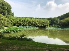 -河南省黄河迎宾馆