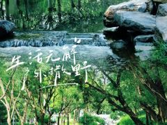 -北坞公园