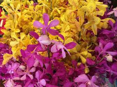 -FEI FEI FLOWER鲜花店·气球派对·宝宝宴布置(虹口德必运动Loft店)