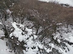 -太子岭滑雪场