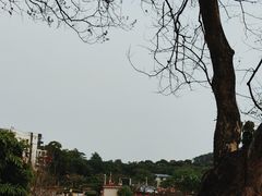-大屏嶂森林公园
