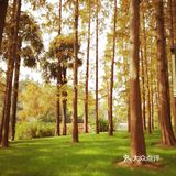 这次来上海住在长风公园附近，清早起来去散散步