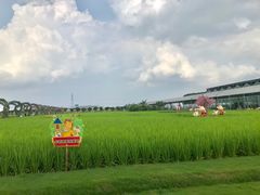 -迪茵湖田家舍生态农场