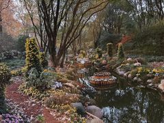 -上海共青森林公园