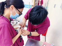 -美联众合动物医院·24h京西诊疗中心