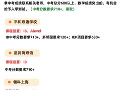 -菠萝国际教育专注Alevel·IGCSE·IB·AP·托福雅思培训辅导(静安校区)