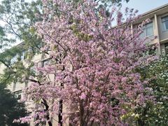 -广西大学(大学东路校区)