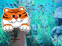 -上海海洋水族馆