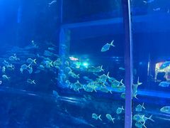 -秦皇岛新澳海底世界