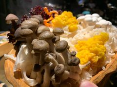 -凤园椰珍·臻品椰子鸡(保利时光里店)