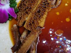 -黄埔华苑酒家(黄埔店)