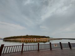 -南大港湿地风景区