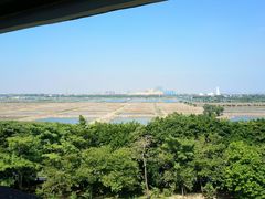 -大湾区中央湿地公园
