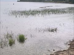 -大理洱海