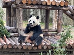 -上海野生动物园