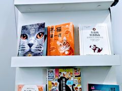 -爱洗澡的猫(望京店)