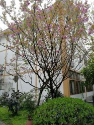 点击看大图 -莲生母婴月子中心(清水河公园店)