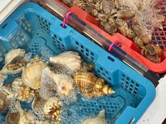 -金砂阿洲鱼册店
