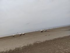 -江山半岛白浪滩景区