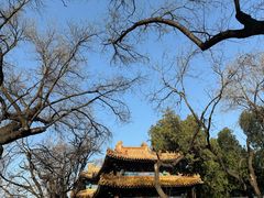 -北京国子监胡同