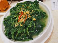 金沙上汤浸桑叶-顺德人家食府(黄金广场店)