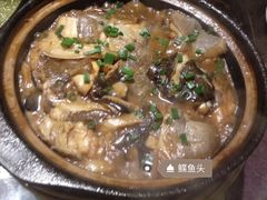 蝶鱼头-孙记泰和盛仔鲽鱼头