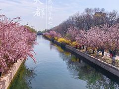 -元大都城垣遗址公园