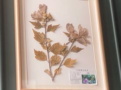 -章记星洲 · 新加坡餐厅(望京店)