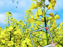 -白鹭湾湿地公园