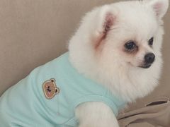 -怪兽屋·羊驼·猫咖·狗咖(俊华广场店)