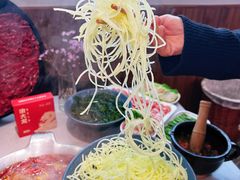 -渝大龙重庆火锅(温泉月亮湾店)