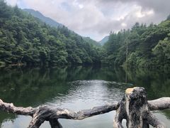-洛阳白云山景区