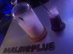 -Darling Queen·Mini·Live·House