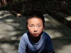 -铁山坪森林公园