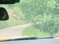 -北京山里寒舍度假酒店