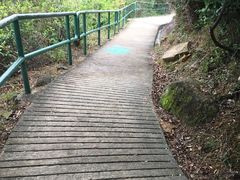 -南丫岛